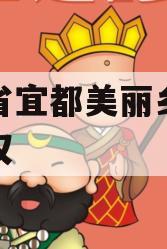 湖北省宜都美丽乡村建设债权
