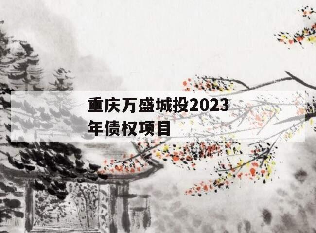 重庆万盛城投2023年债权项目