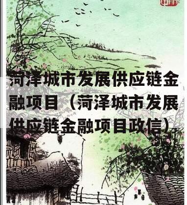 菏泽城市发展供应链金融项目（菏泽城市发展供应链金融项目政信）