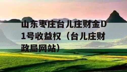 山东枣庄台儿庄财金D1号收益权（台儿庄财政局网站）