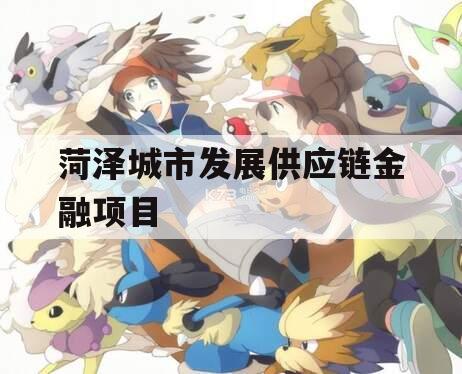 菏泽城市发展供应链金融项目