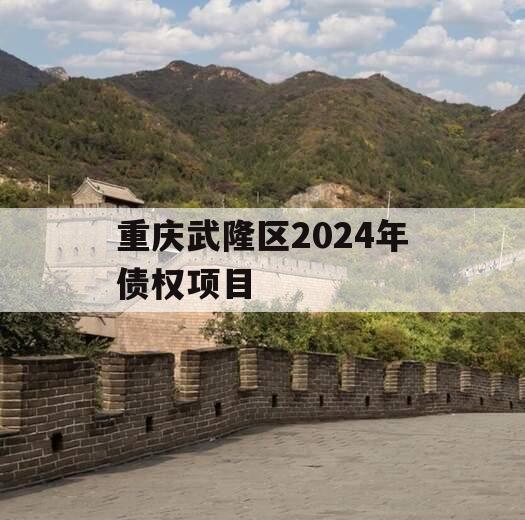 重庆武隆区2024年债权项目