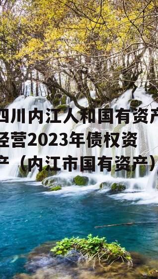 四川内江人和国有资产经营2023年债权资产（内江市国有资产）
