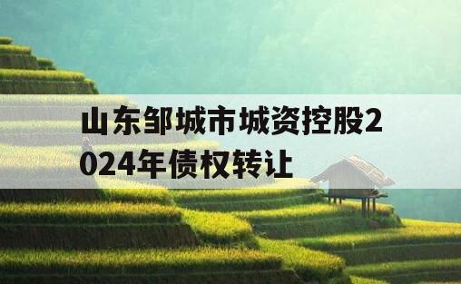 山东邹城市城资控股2024年债权转让