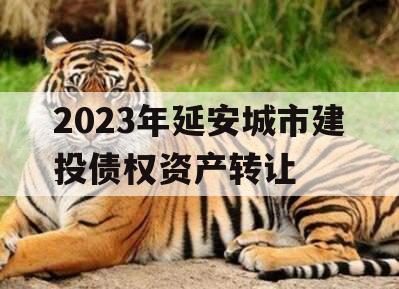 2023年延安城市建投债权资产转让