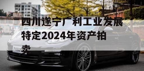 四川遂宁广利工业发展特定2024年资产拍卖
