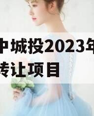 阆中城投2023年债权转让项目