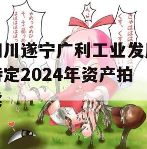 四川遂宁广利工业发展特定2024年资产拍卖