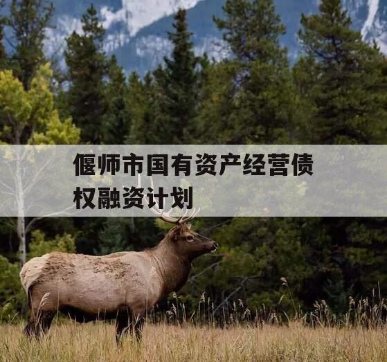 偃师市国有资产经营债权融资计划