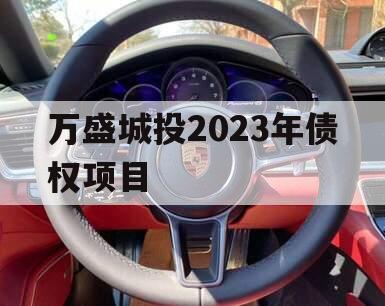 万盛城投2023年债权项目