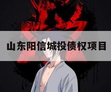 山东阳信城投债权项目