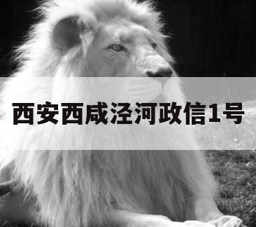 西安西咸泾河政信1号