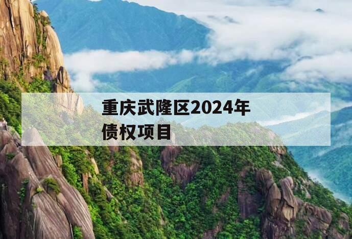 重庆武隆区2024年债权项目