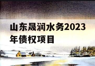 山东晟润水务2023年债权项目