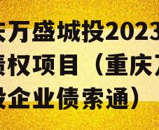 重庆万盛城投2023年债权项目（重庆万盛城投企业债索通）