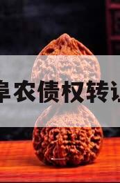 江苏阜农债权转让计划