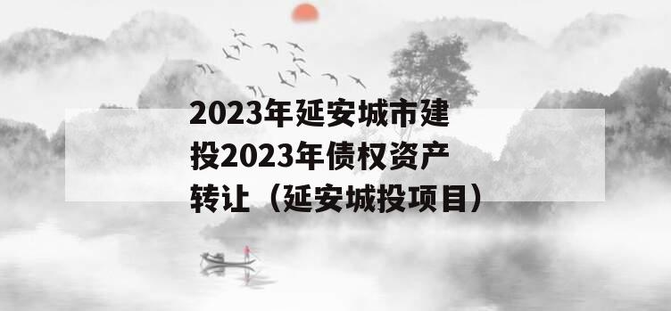 2023年延安城市建投2023年债权资产转让（延安城投项目）