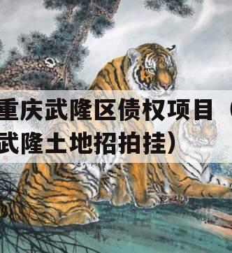重庆武隆区债权项目（武隆土地招拍挂）