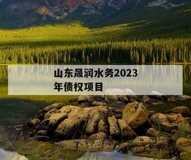 山东晟润水务2023年债权项目