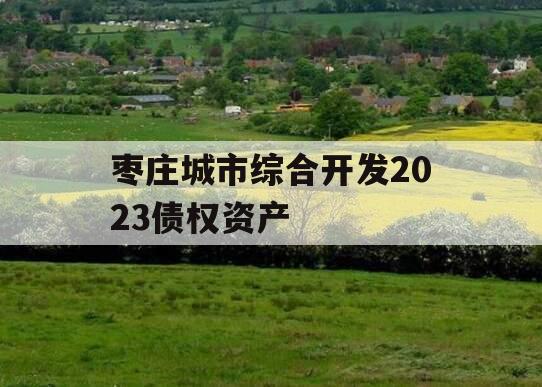 枣庄城市综合开发2023债权资产