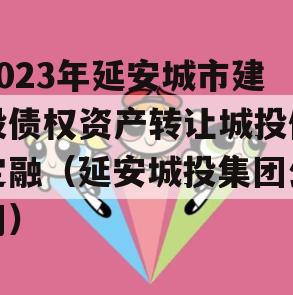 2023年延安城市建投债权资产转让城投债定融（延安城投集团公司）