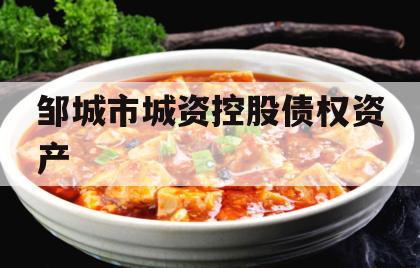 邹城市城资控股债权资产