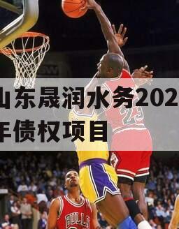 山东晟润水务2023年债权项目