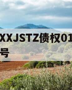 XXJSTZ债权01号