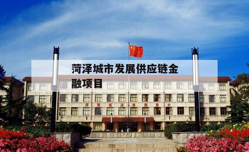 菏泽城市发展供应链金融项目