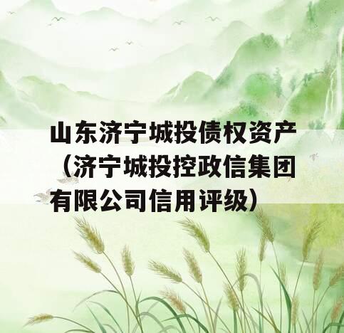 山东济宁城投债权资产（济宁城投控政信集团有限公司信用评级）