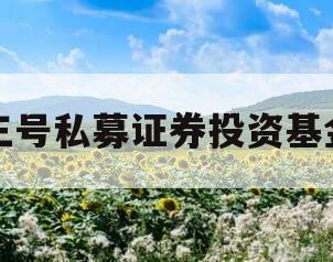 三号私募证券投资基金