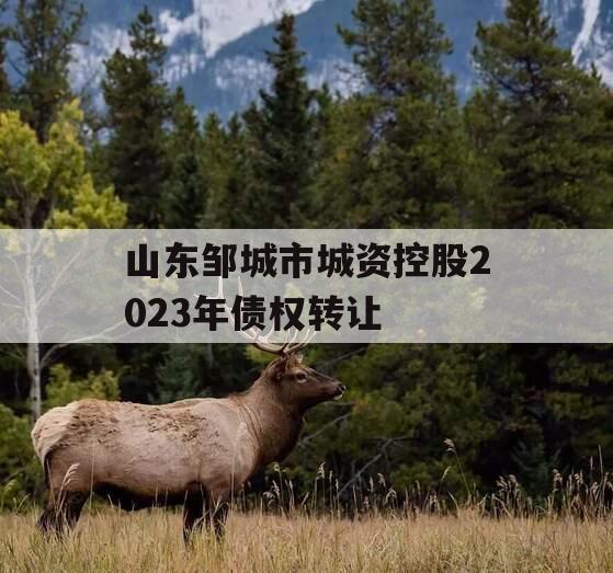 山东邹城市城资控股2023年债权转让
