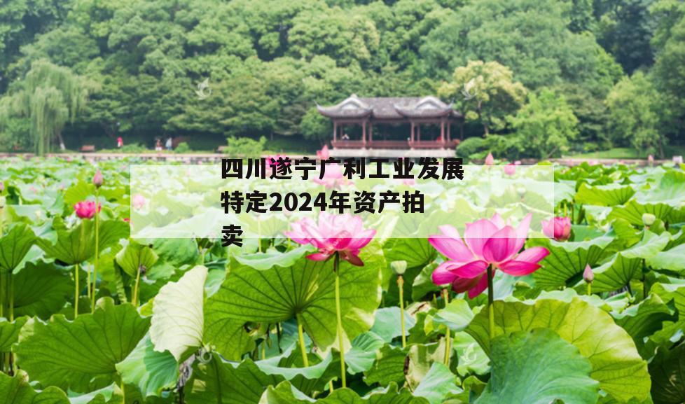 四川遂宁广利工业发展特定2024年资产拍卖