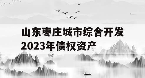 山东枣庄城市综合开发2023年债权资产