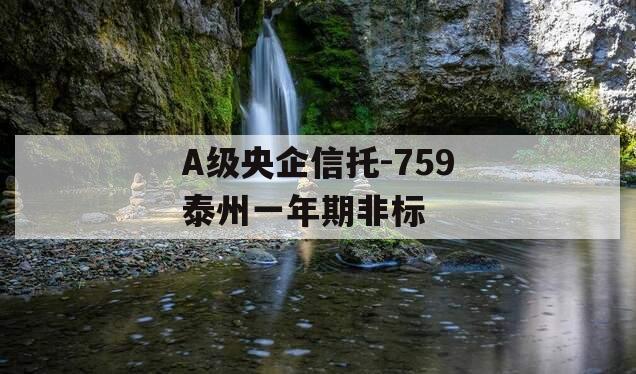 A级央企信托-759泰州一年期非标