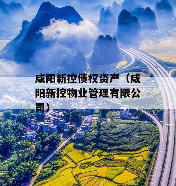 咸阳新控债权资产（咸阳新控物业管理有限公司）