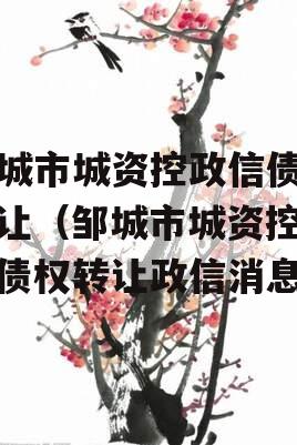 邹城市城资控政信债权转让（邹城市城资控政信债权转让政信消息）
