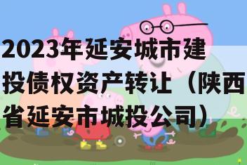 2023年延安城市建投债权资产转让（陕西省延安市城投公司）