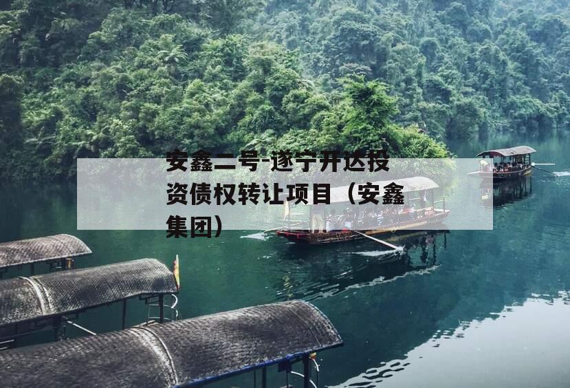 安鑫二号-遂宁开达投资债权转让项目（安鑫集团）