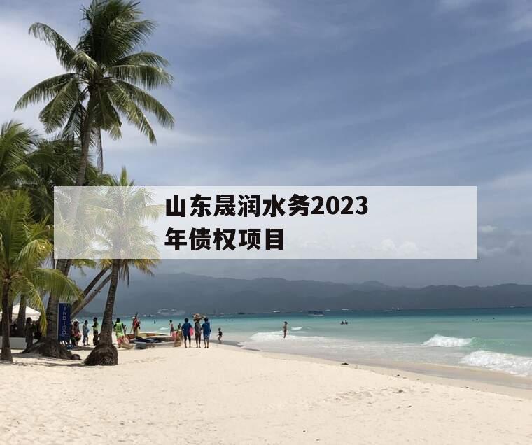 山东晟润水务2023年债权项目