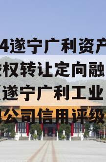 2024遂宁广利资产收益权转让定向融资计划（遂宁广利工业发展有限公司信用评级）