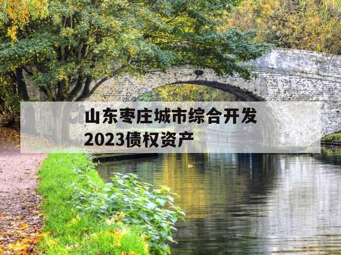 山东枣庄城市综合开发2023债权资产