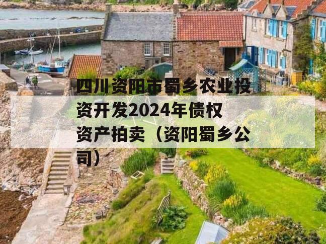 四川资阳市蜀乡农业投资开发2024年债权资产拍卖（资阳蜀乡公司）