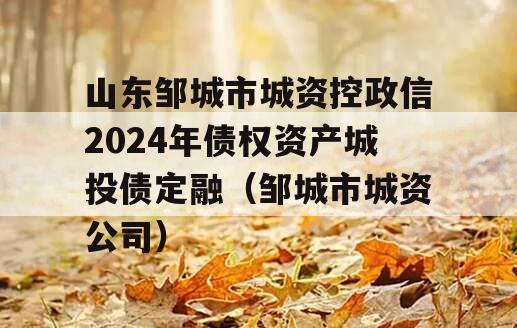 山东邹城市城资控政信2024年债权资产城投债定融（邹城市城资公司）
