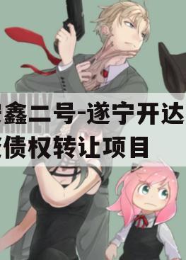 安鑫二号-遂宁开达投资债权转让项目