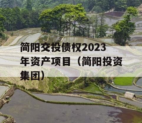 简阳交投债权2023年资产项目（简阳投资集团）