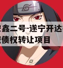 安鑫二号-遂宁开达投资债权转让项目