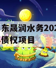 山东晟润水务2023年债权项目