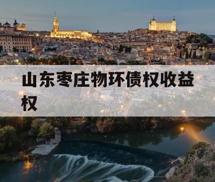 山东枣庄物环债权收益权