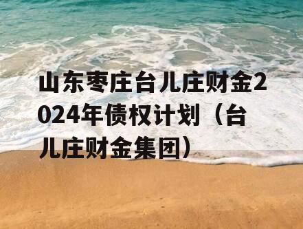 山东枣庄台儿庄财金2024年债权计划（台儿庄财金集团）